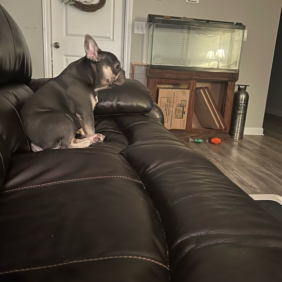 Meet your Posher, Angela - Picture 7 of 9